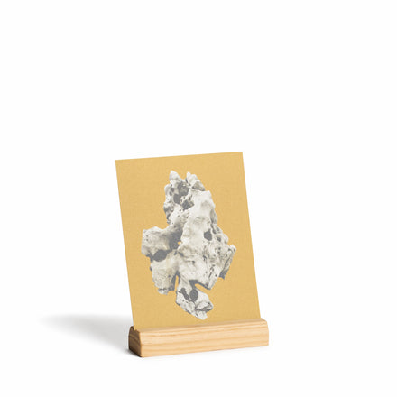 Short Wood Card Holder