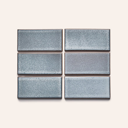 LG12 Sample in Shell-Dove