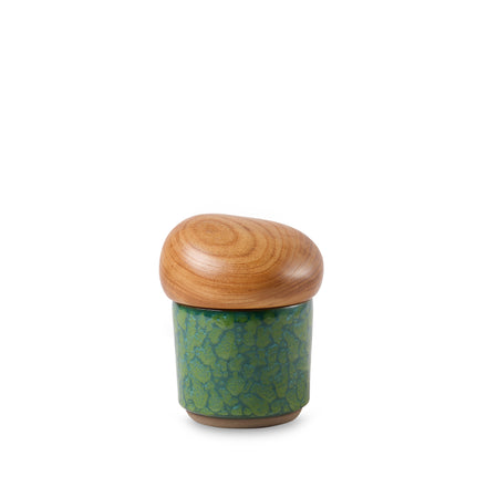 Special Edition Container 09