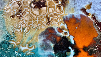 What do you see?
