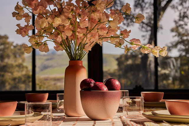 Summer 2026: Seeds of Summer Search Result Image