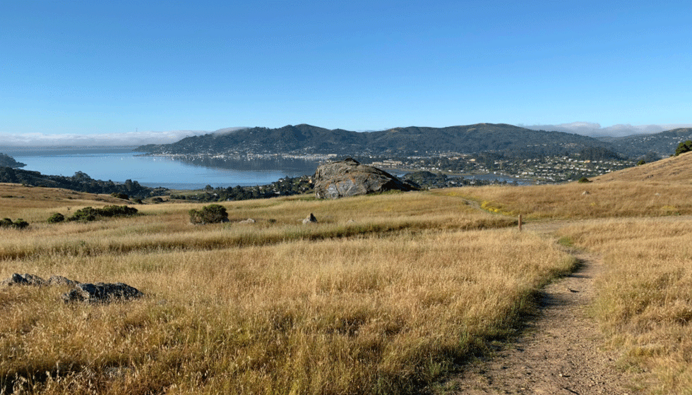 Heath Hikes: A Marin Hike with Obi Kaufmann