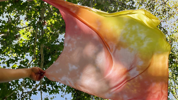 Botanical Spectrum: Silk Dyeing with Cayetano Talavera