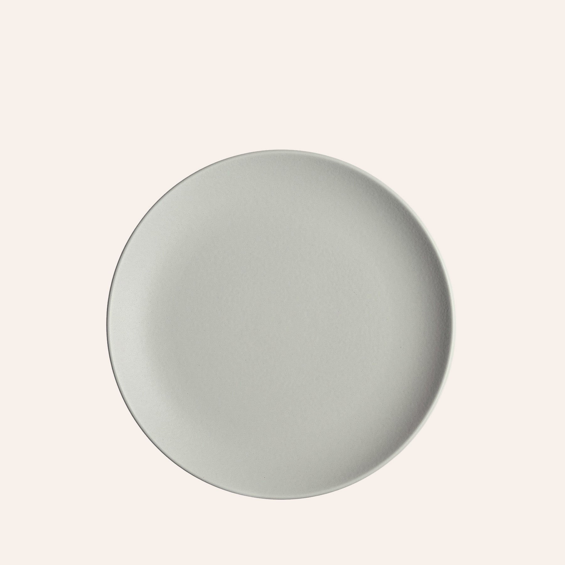 Dinner Plate in Sea Mist