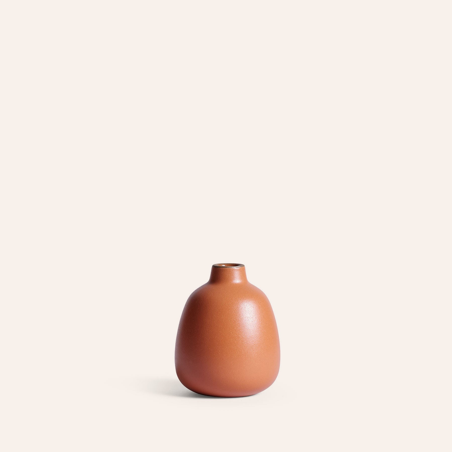 Bud Vase in Desert