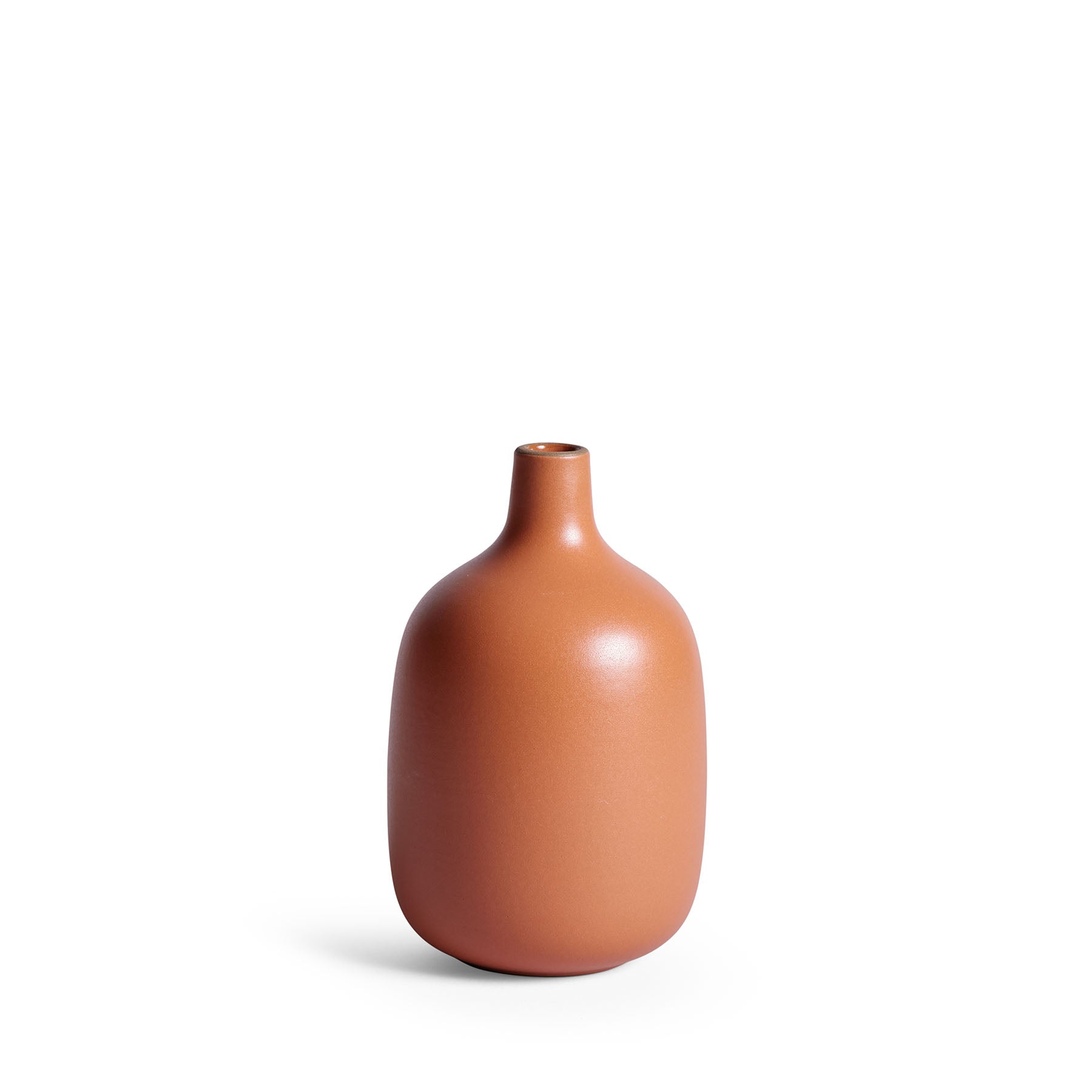 Single-Stem Vase in Desert Zoom Image 1