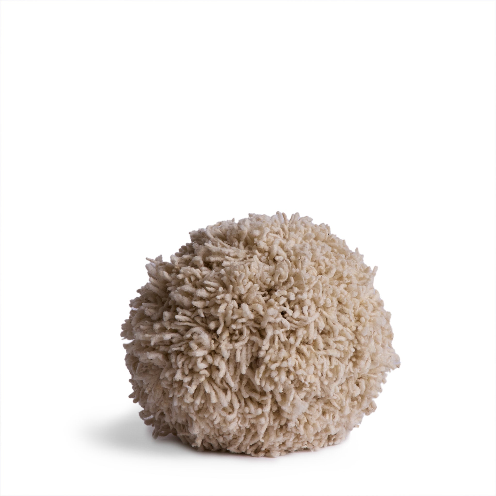 Momo in Natural Zoom Image 1