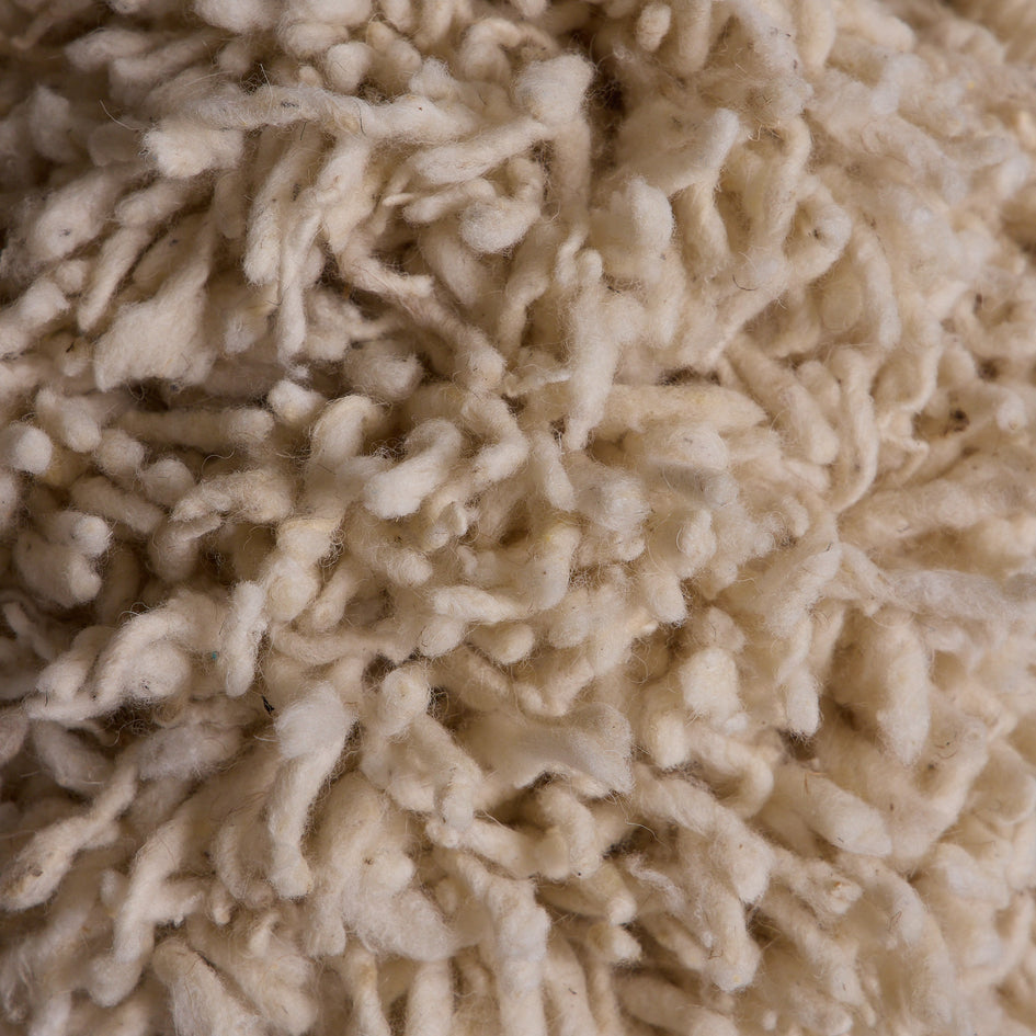 Momo in Natural Image 2