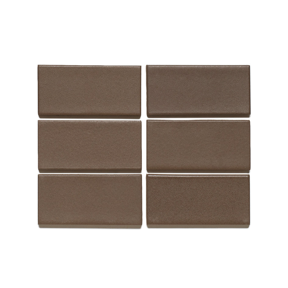 M166 Sample in Fossil Image 1