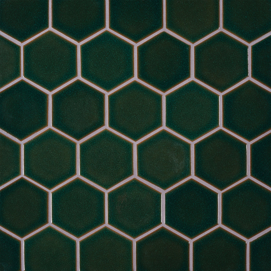 G129 Sample in Reef Image 3