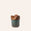 Special Edition Container 13