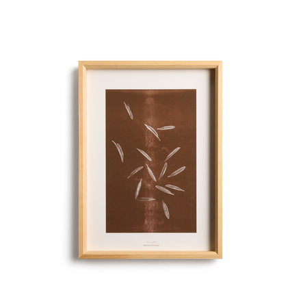 Origins No. 2 Limited Print