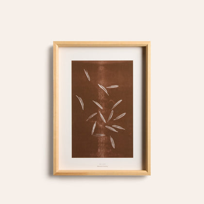 Origins No 2 Limited Print