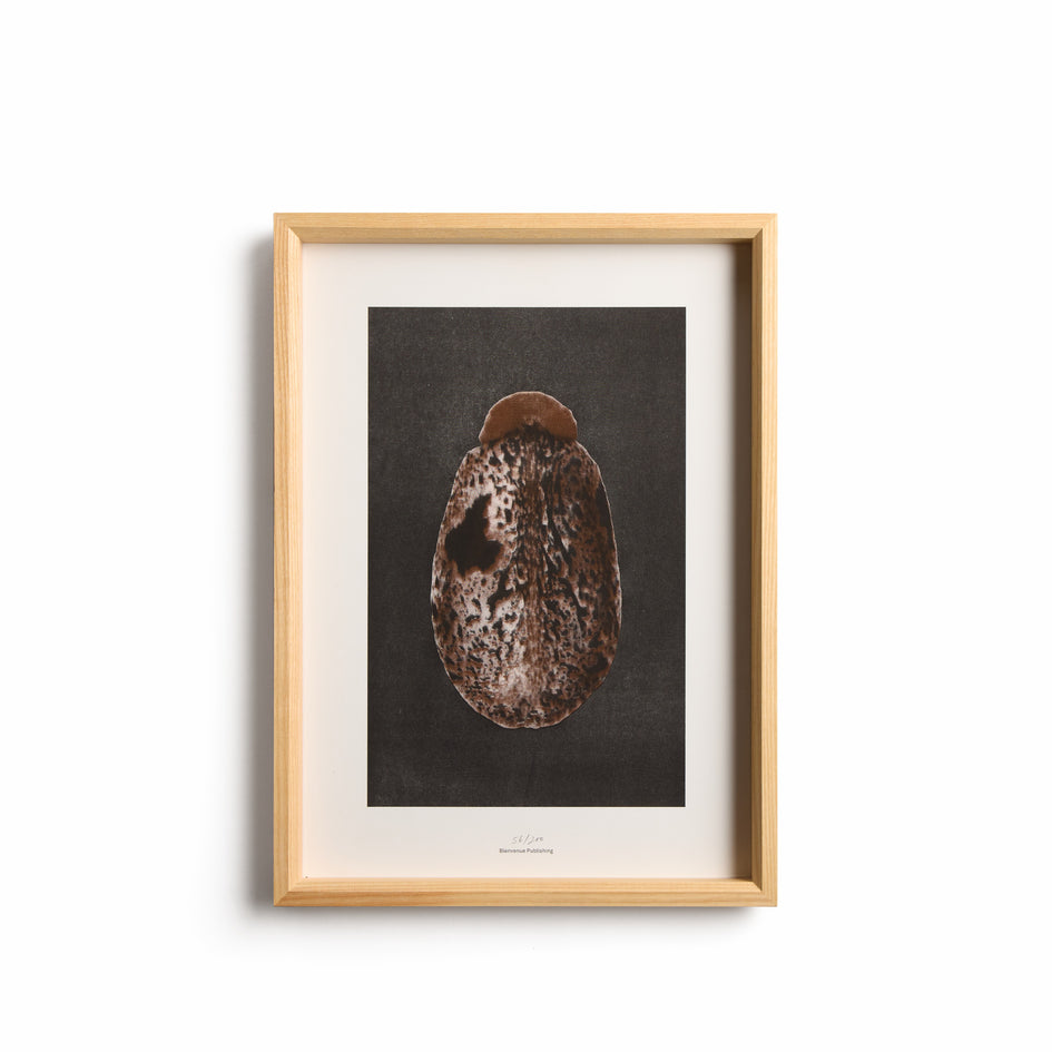 Origins No. 3 Limited Print Image 1