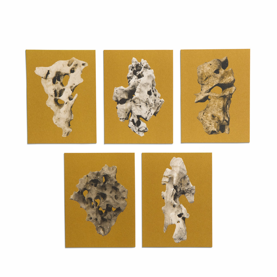 No. 7 Viewing Stone Small Print Set Image 1