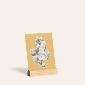 Short Wood Card Holder