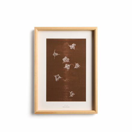 Origins No. 5 Limited Print