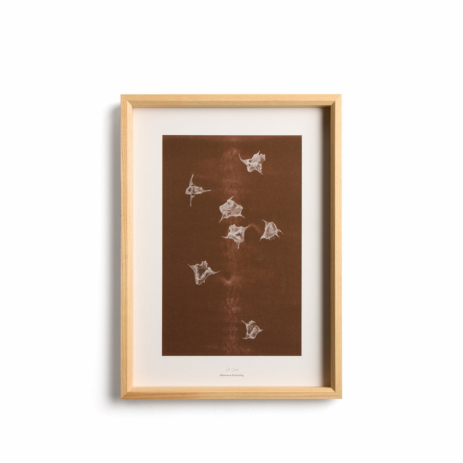 Origins No. 5 Limited Print Image 1