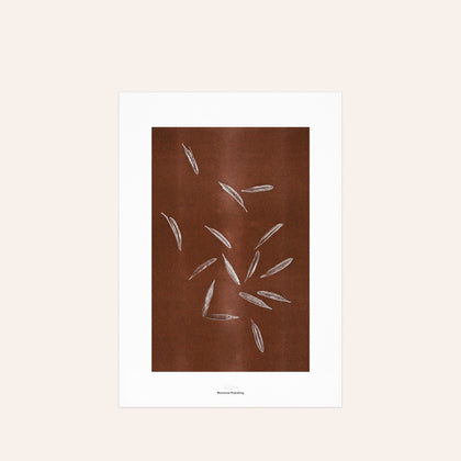 Origins No 2 Limited Print