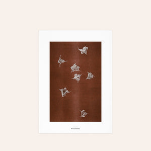 Origins No 5 Limited Print
