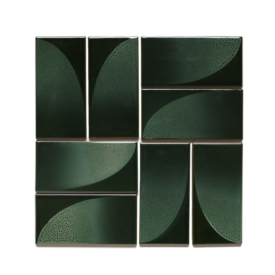 Arc Sample in Chameleon Image 2