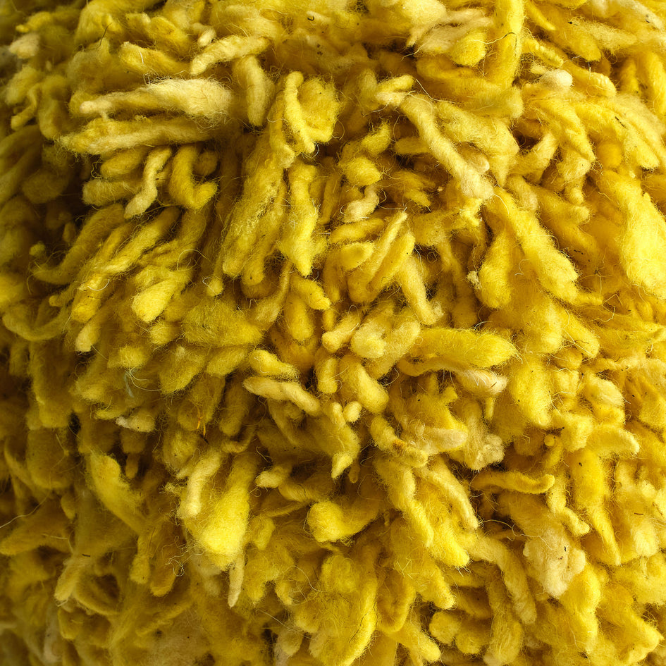 Momo in Lemongrass Image 2