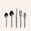 Muir Flatware in Tumbled (5 piece setting)