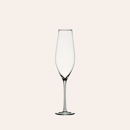 Cabernet Champagne Glass (Set of 6)