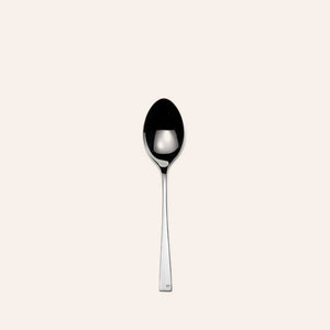 Embassy Serving Spoon