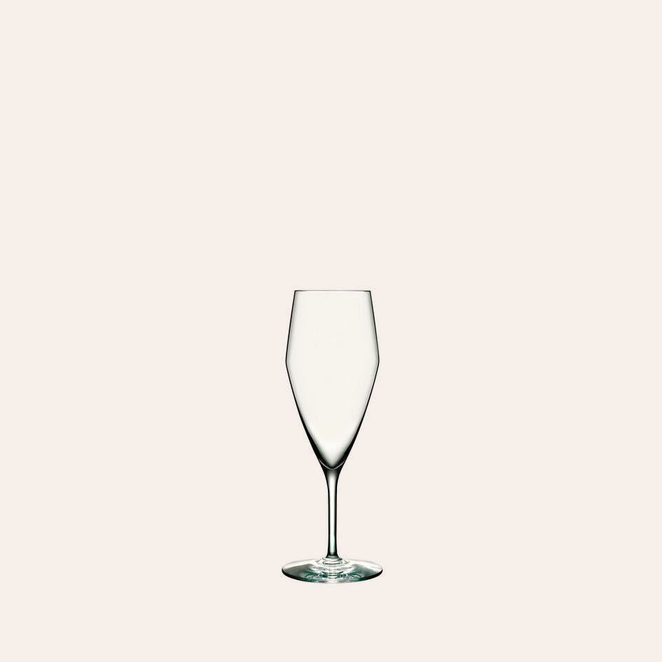 Perfection Champagne Glass (Set of 6)