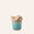 Special Edition Container 15