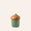 Special Edition Container 16