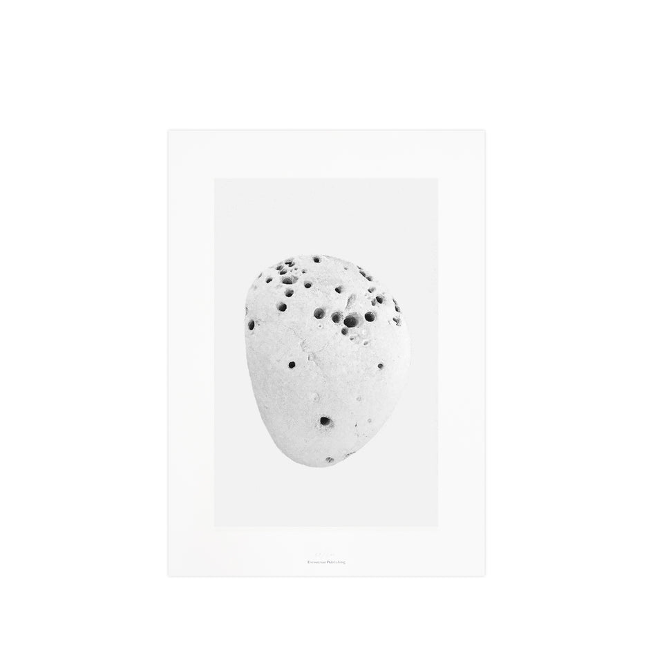 Pacific Marks 5 Image 1