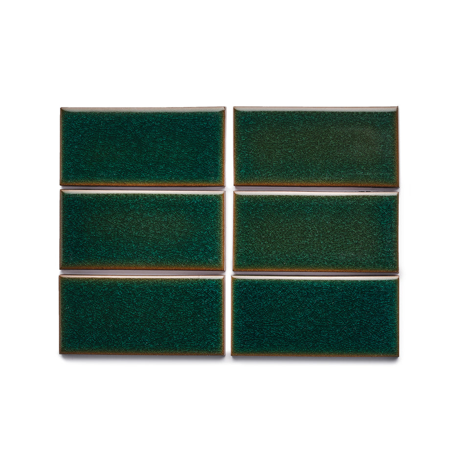 G129 Sample in Reef Image 1