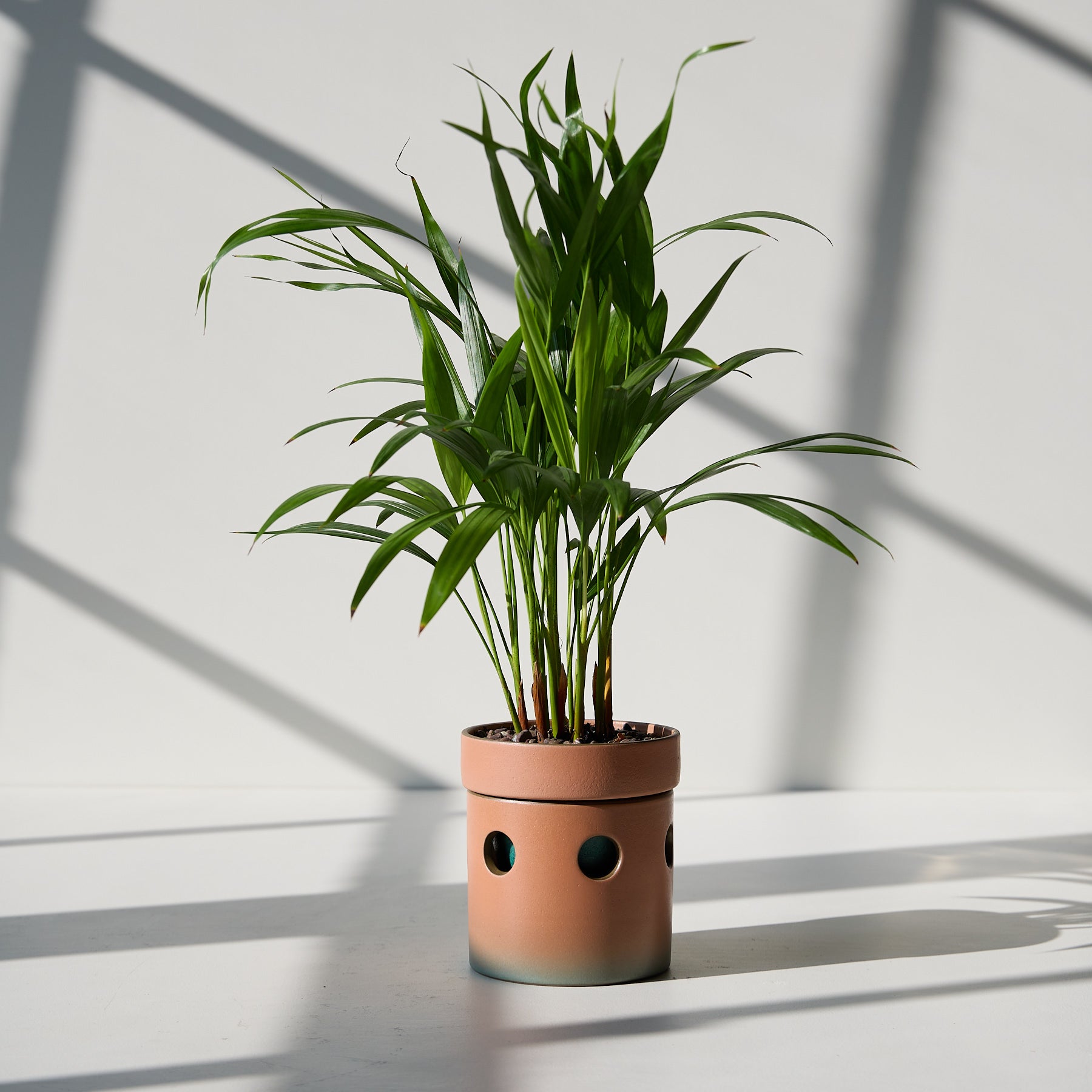 Form 60 Zoom Image 1