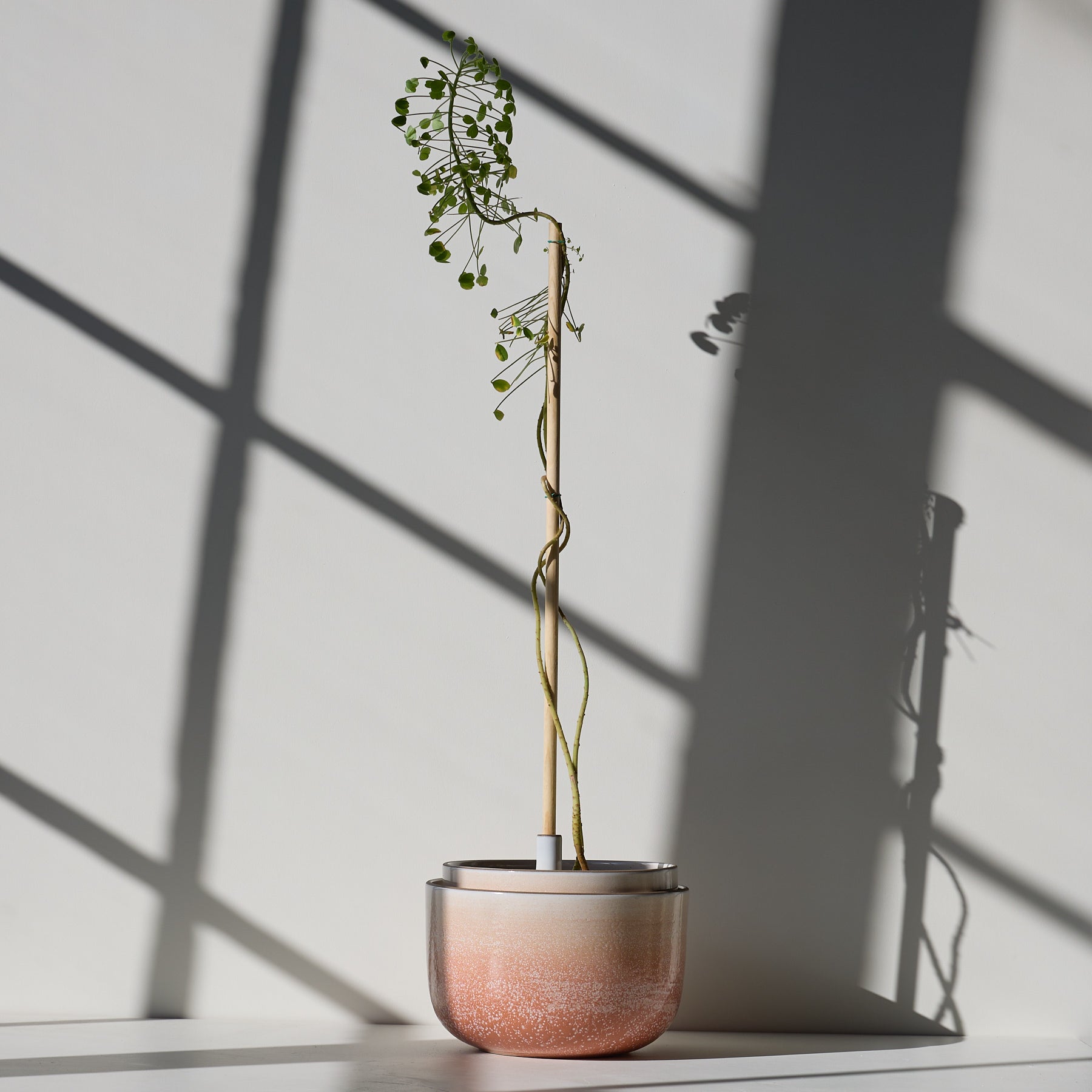 Form 09 Zoom Image 1