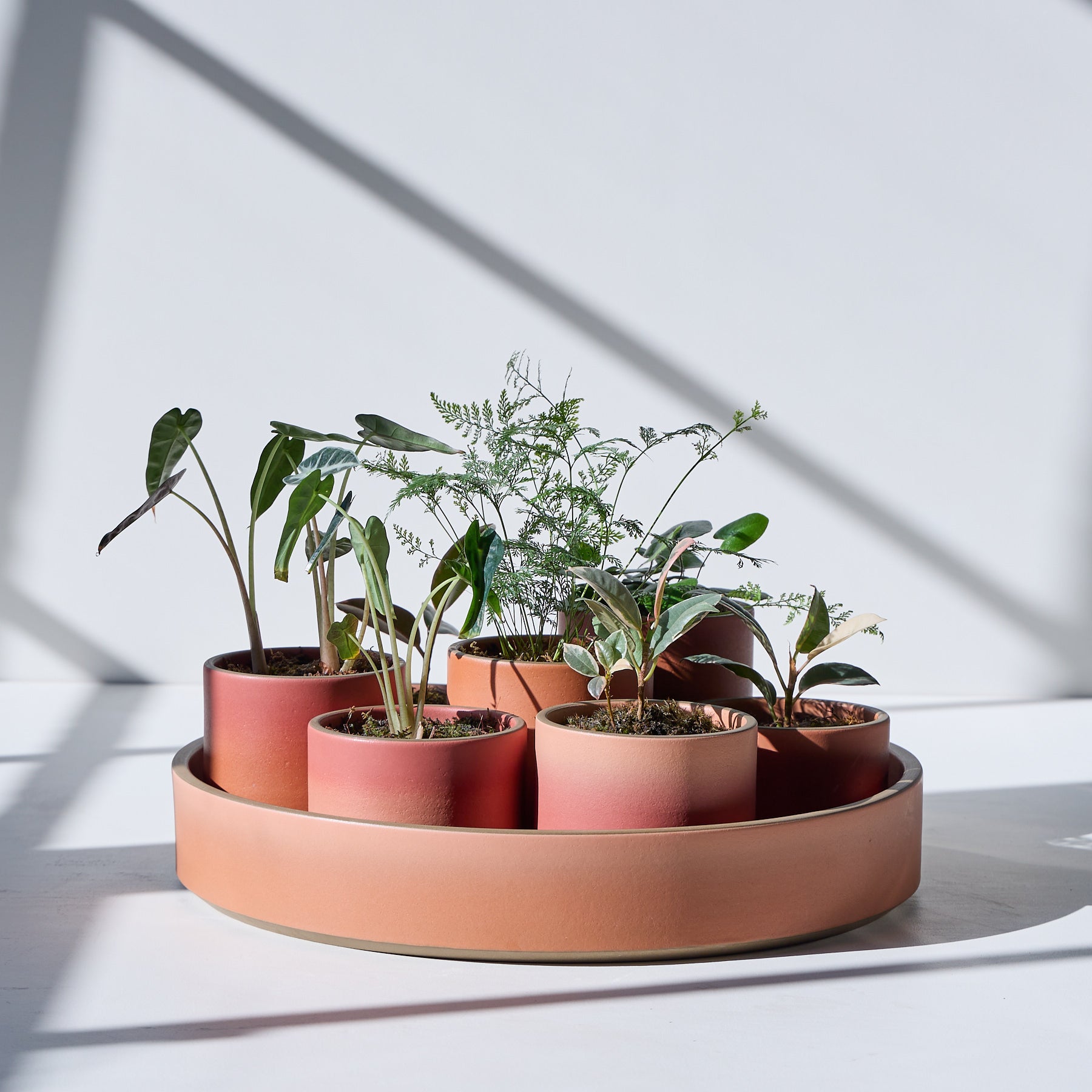 Form 03 Zoom Image 1