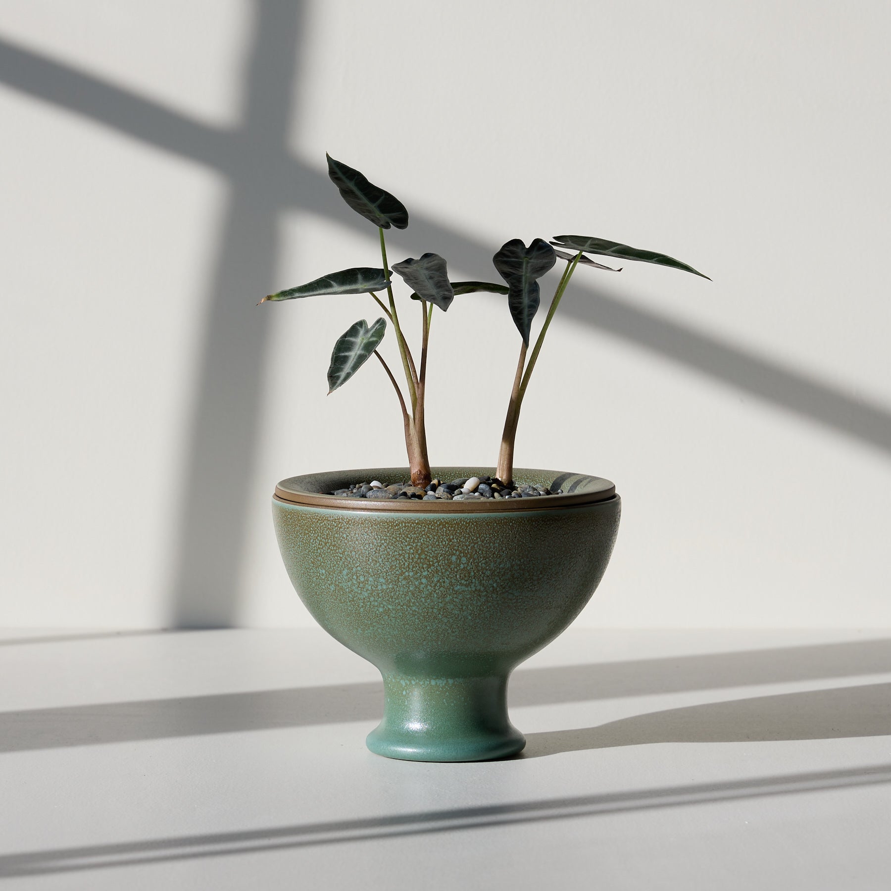 Form 26 Zoom Image 1