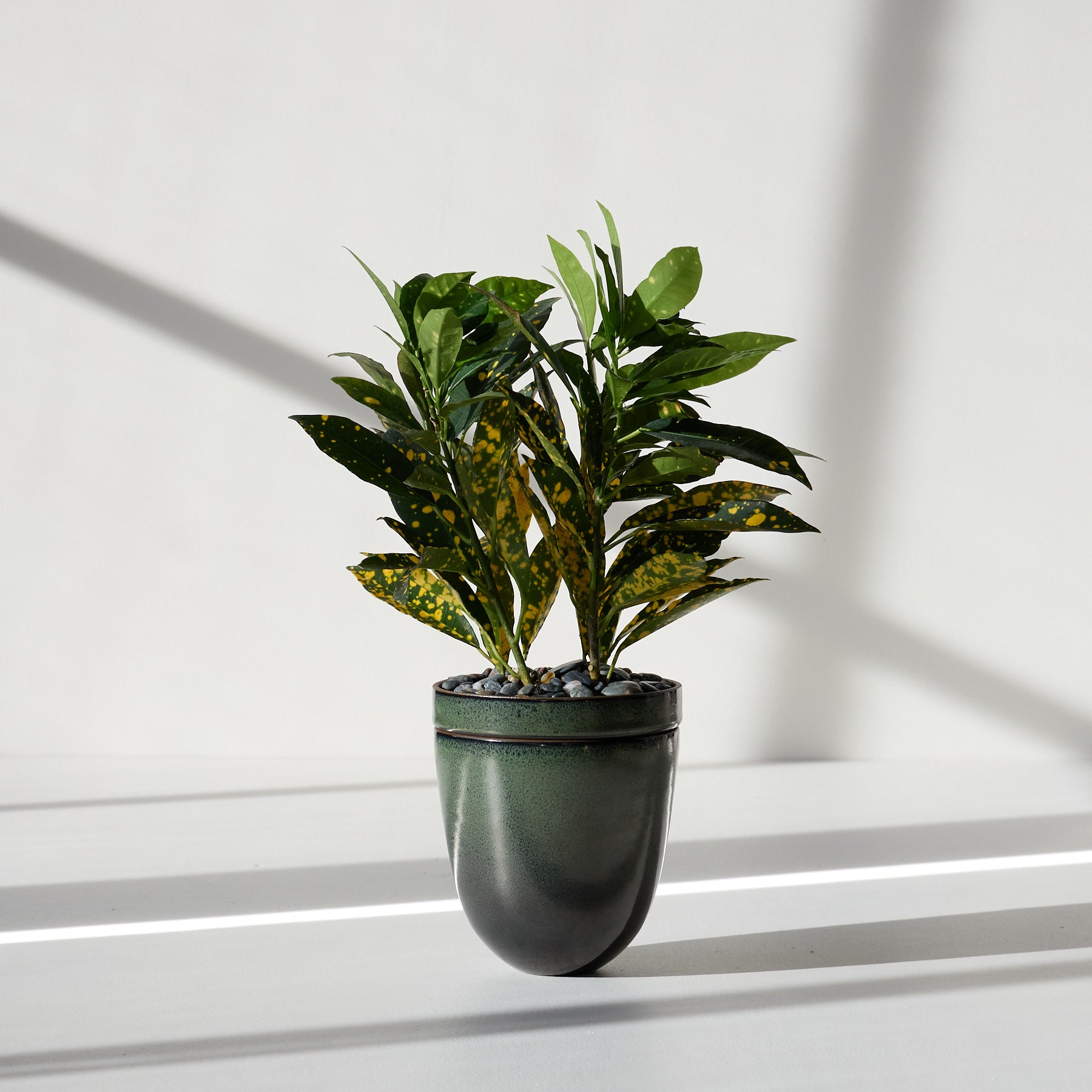 Form 24 Zoom Image 1