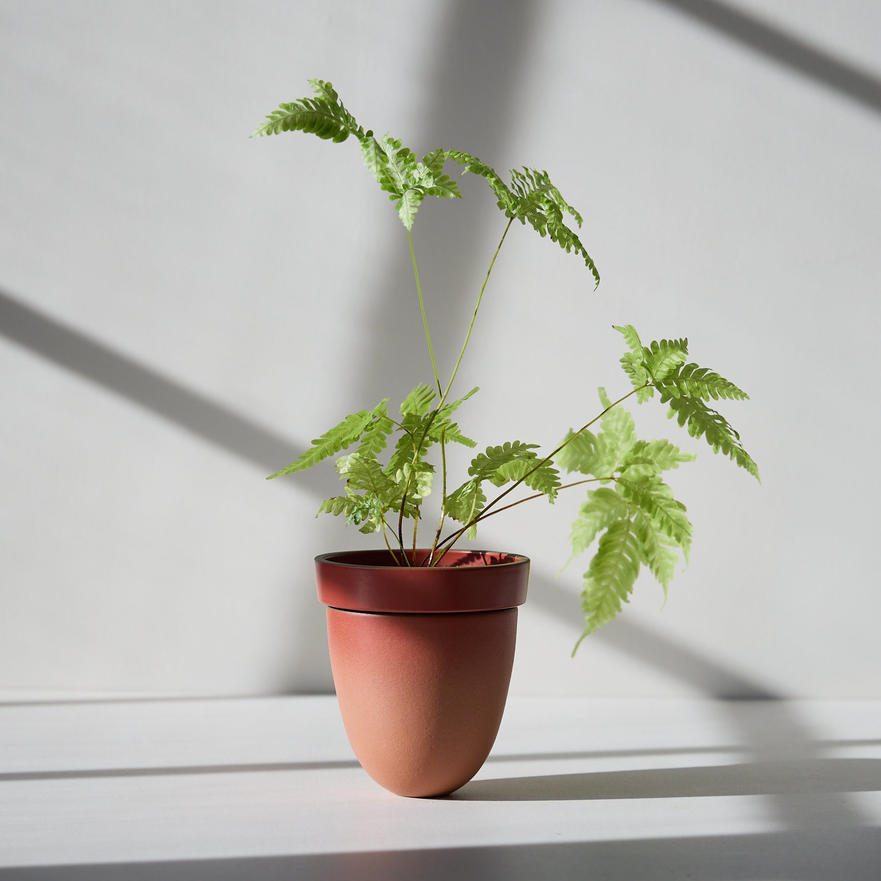 Form 48 Zoom Image 1