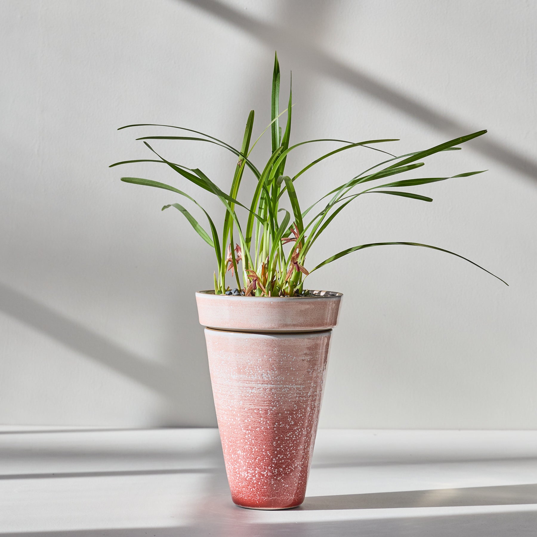 Form 21 Zoom Image 1