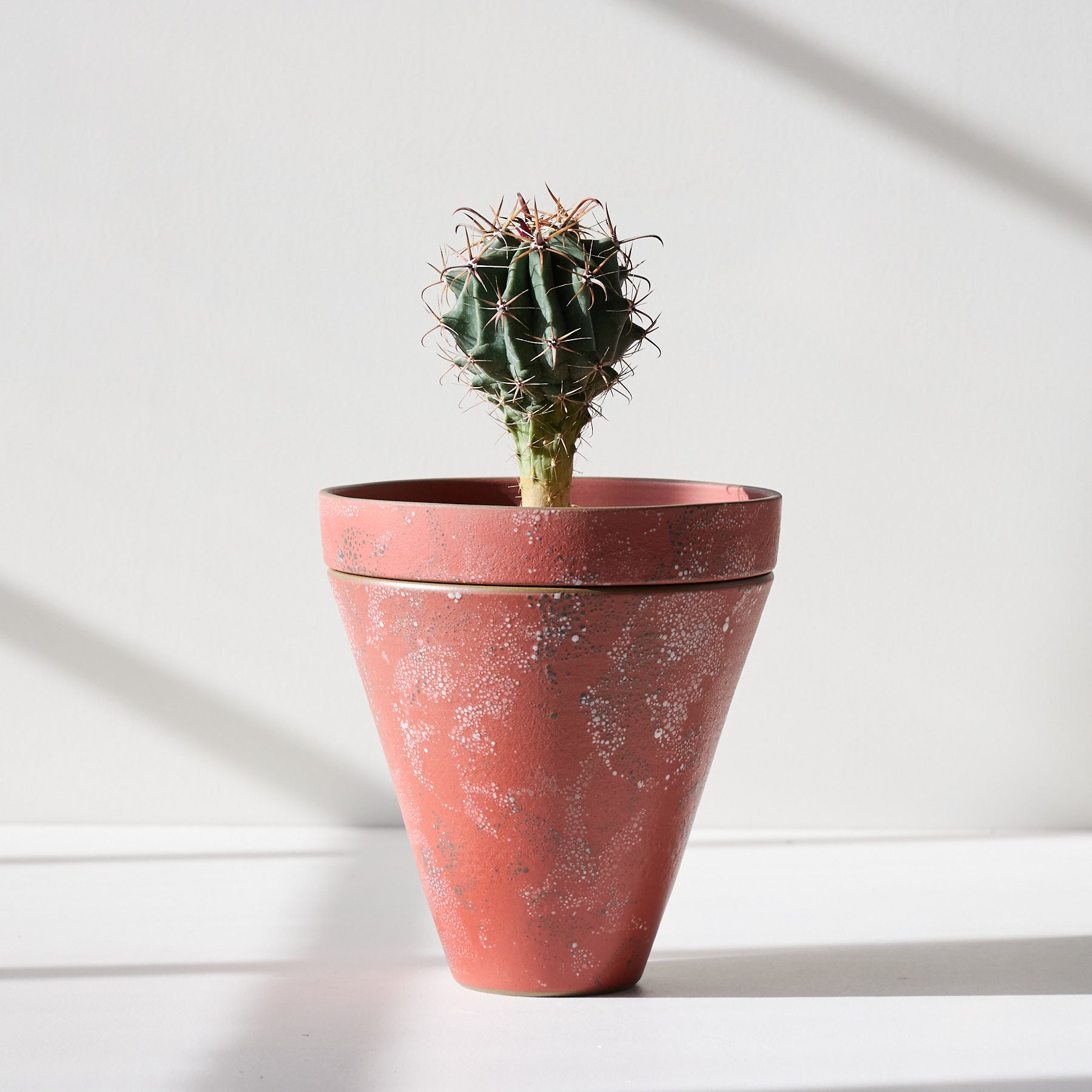 Form 58 Zoom Image 1