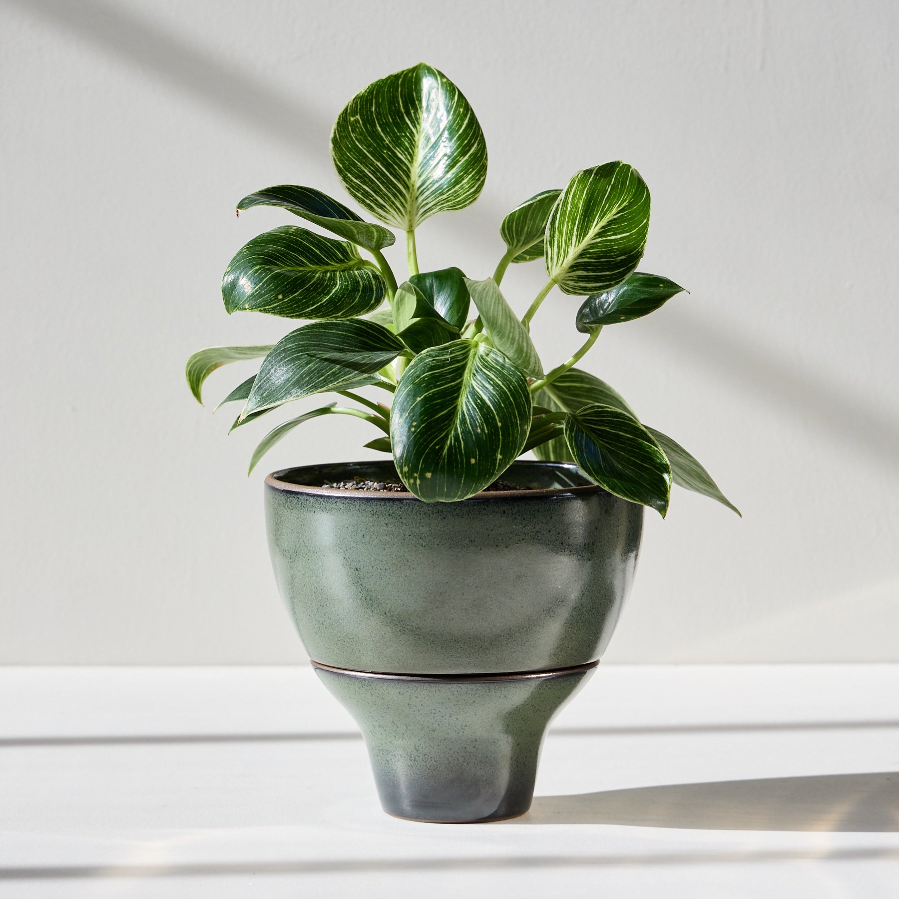 Form 22 Zoom Image 1