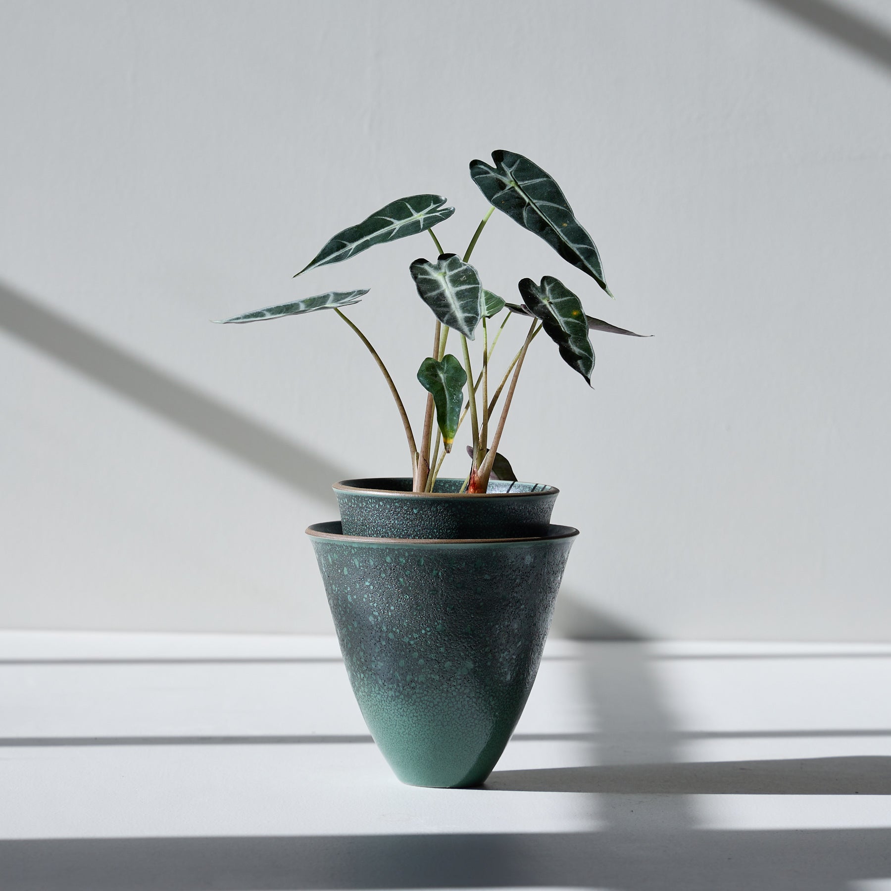 Form 16 Zoom Image 1