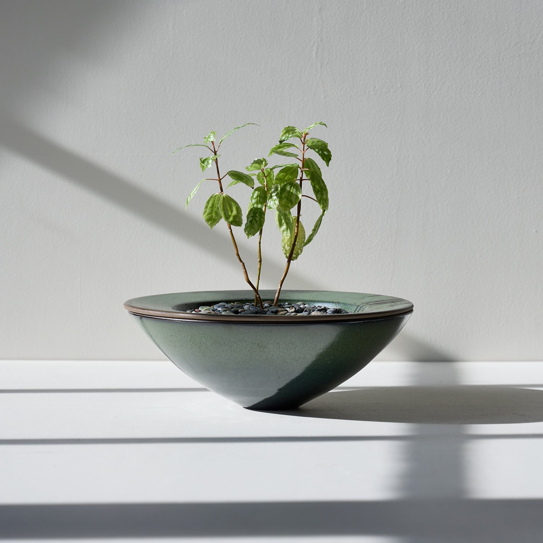 Form 14 Zoom Image 1