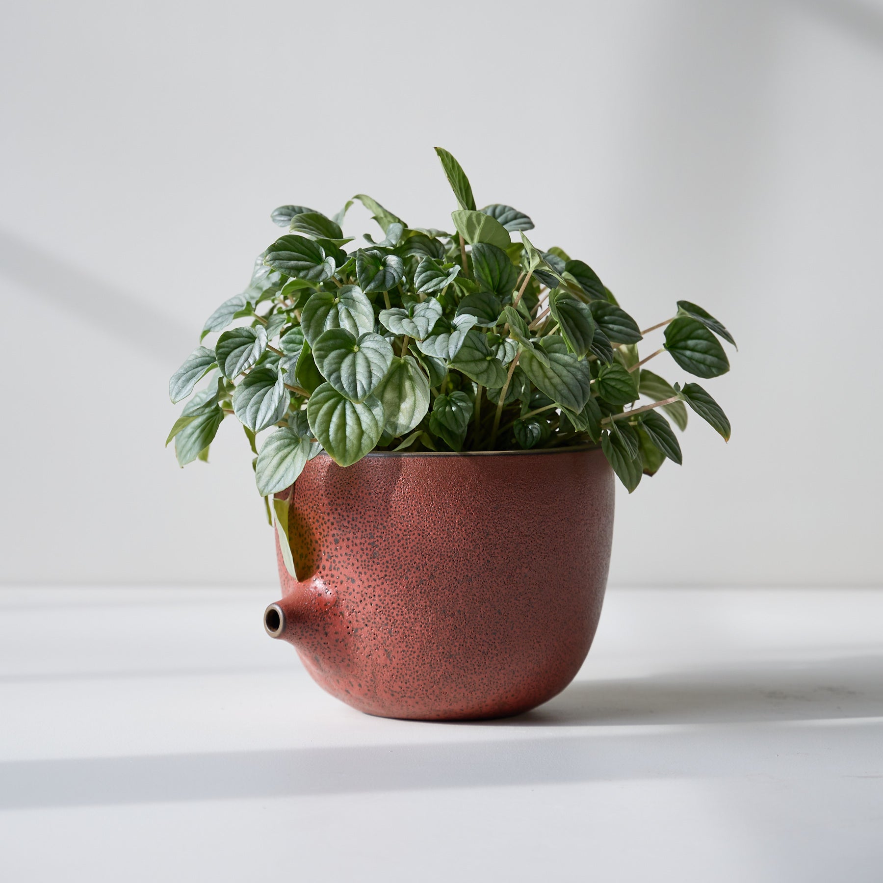 Form 25 Zoom Image 1