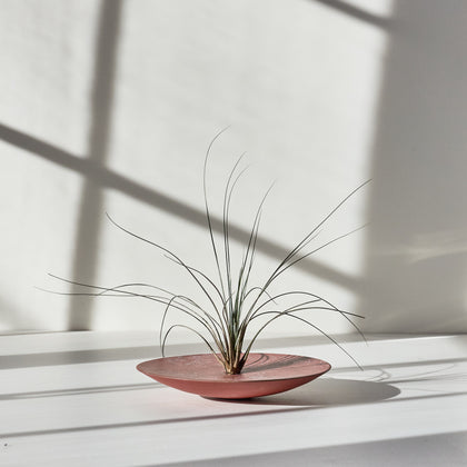 Heath Ceramics Design Series 9 Form 01