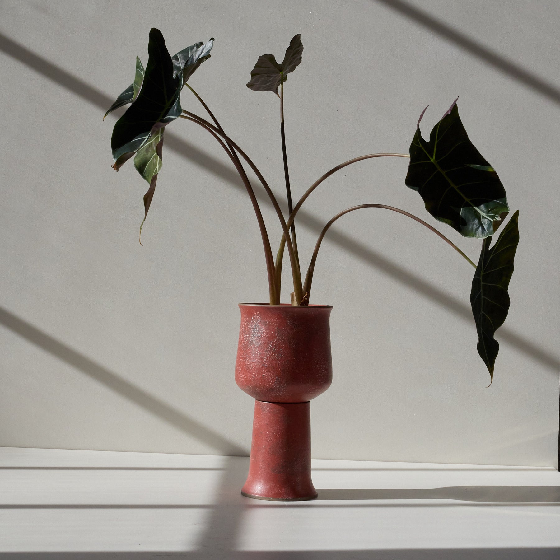 Form 42 Zoom Image 1