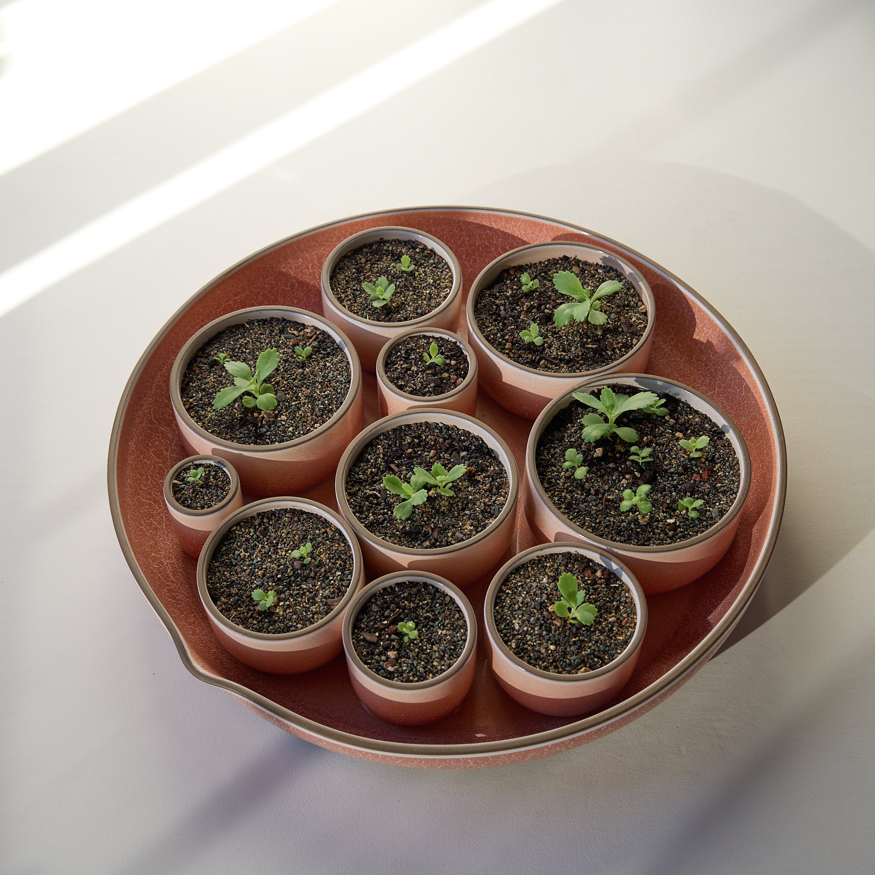 Form 17 Zoom Image 1