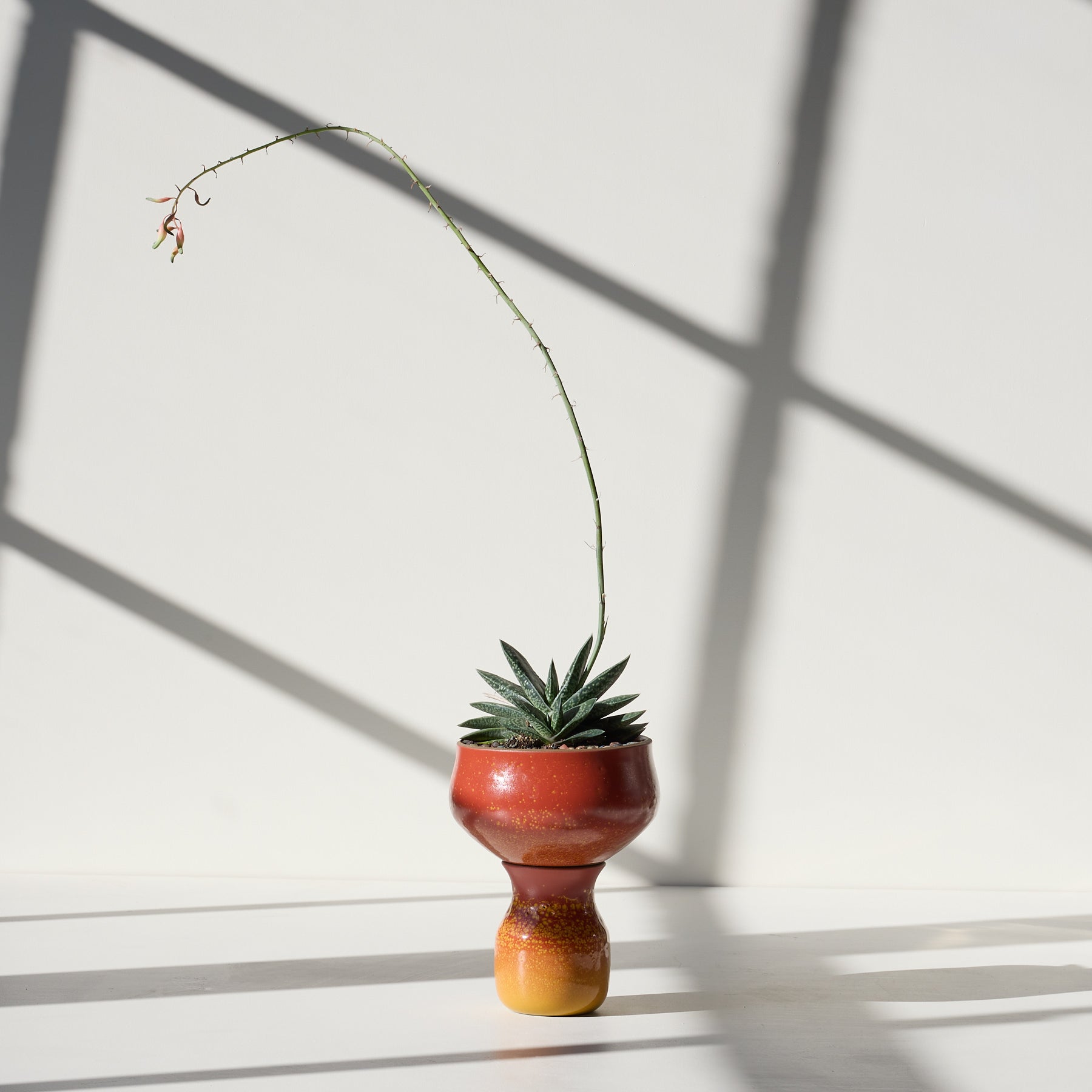 Form 11 Zoom Image 1